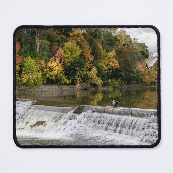 Item preview, Autumn Life at the River designed and sold by jrtwynam.