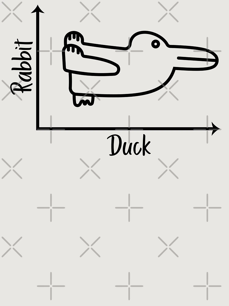 Thumbnail 6 of 6, Premium Oversized Hoodie, Duck Rabbit Graph designed and sold by ScienceCorner.