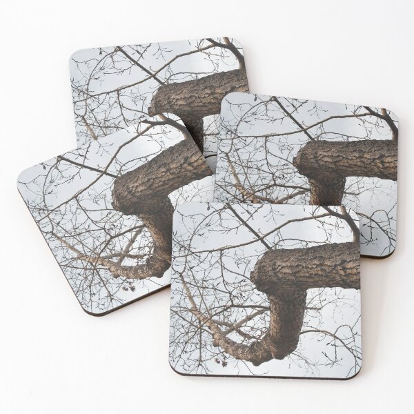 Item preview, Long trunk of branches designed and sold by Momecap.