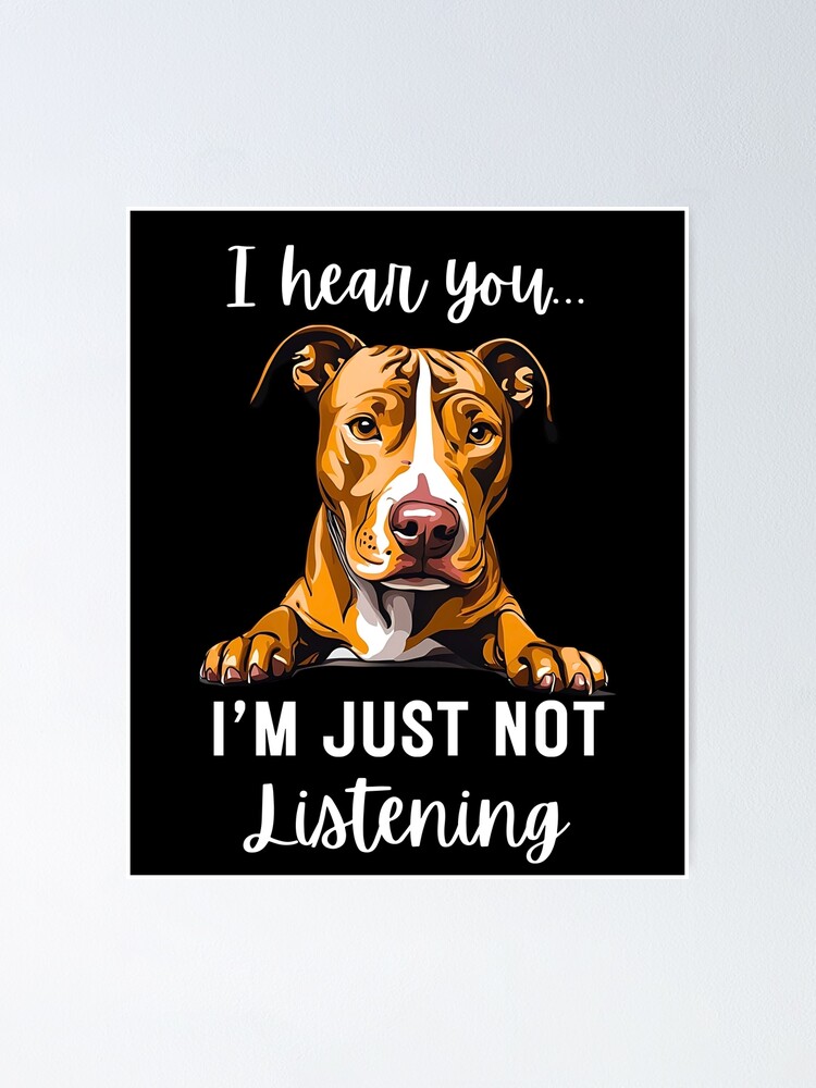 Stubborn Pitbull Not Listening