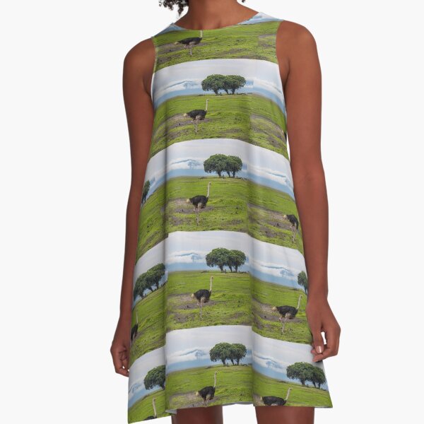 Tanzania. Ngorongoro Conservation Area. Ostrich. A-Line Dress