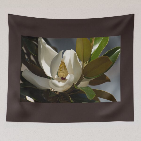 Item preview, Magnolia Grandiflora designed and sold by Zina Stromberg.
