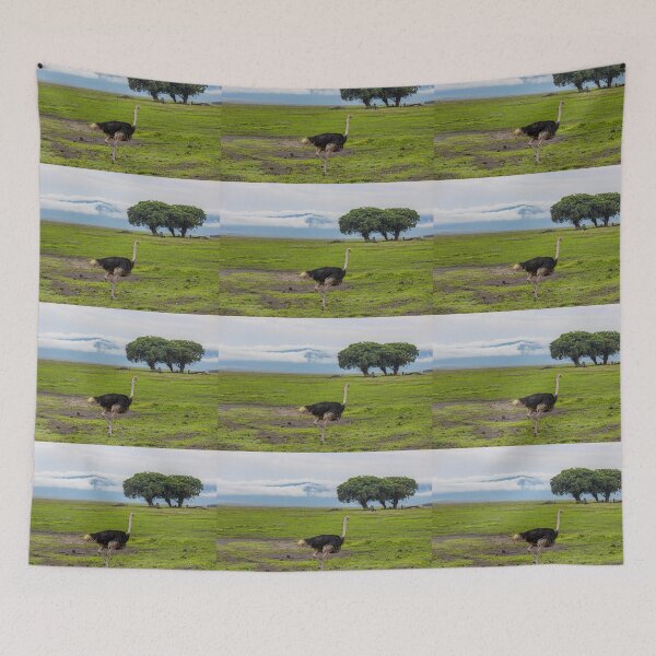 Item preview, Tanzania. Ngorongoro Conservation Area. Ostrich. designed and sold by vadim19.