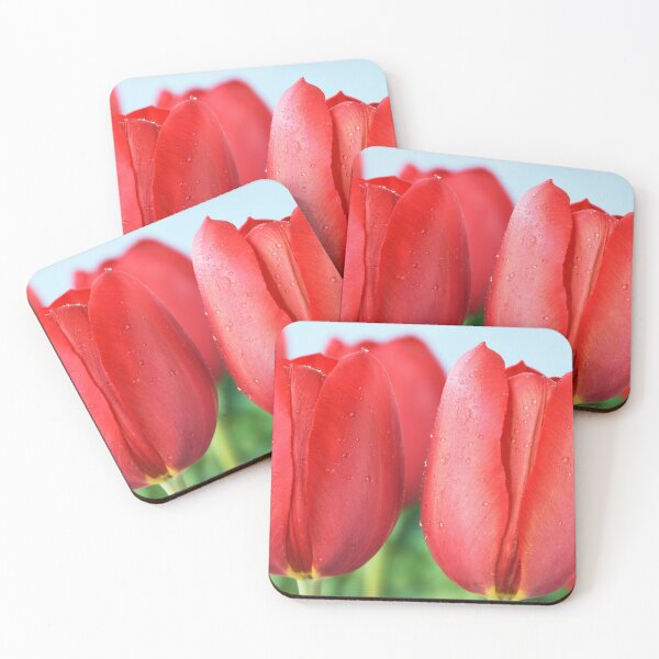 Item preview, Tulipa 'Sky High Scarlet' Single Late Tulip designed and sold by Chris Burrows.