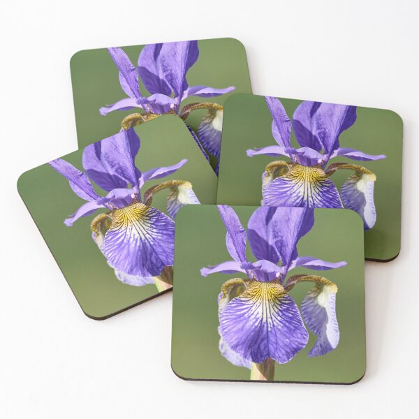 Item preview, Siberian iris and the light designed and sold by Jouko Lehto Photography.