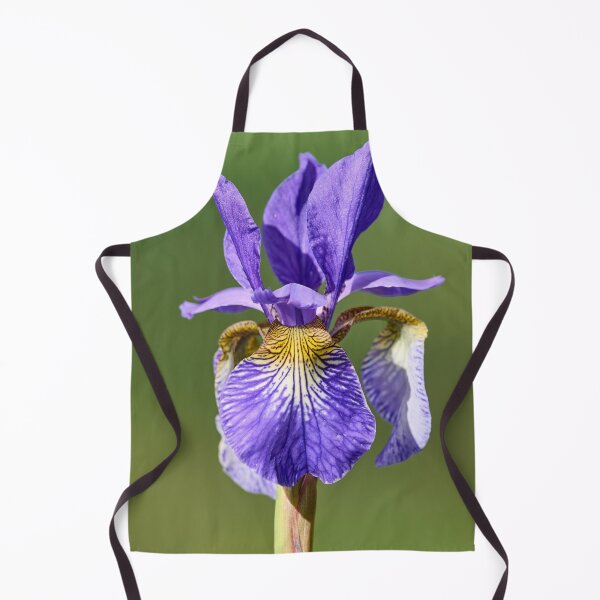 Item preview, Siberian iris and the light designed and sold by Jouko Lehto Photography.