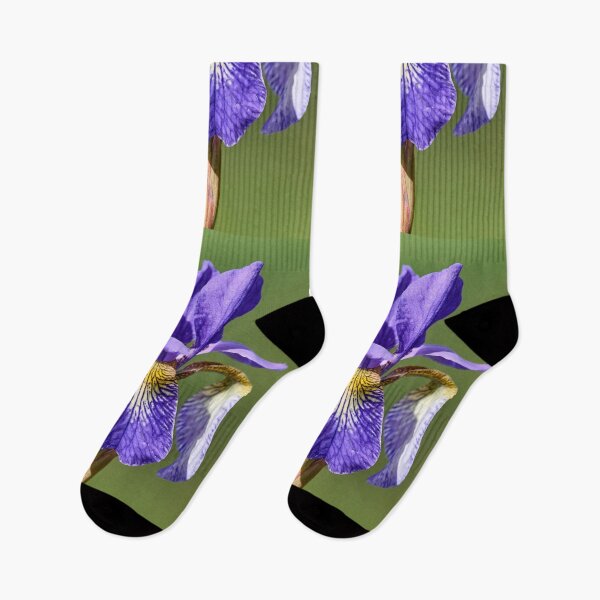 Item preview, Siberian iris and the light designed and sold by Jouko Lehto Photography.
