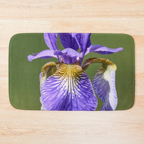 Item preview, Siberian iris and the light designed and sold by Jouko Lehto Photography.