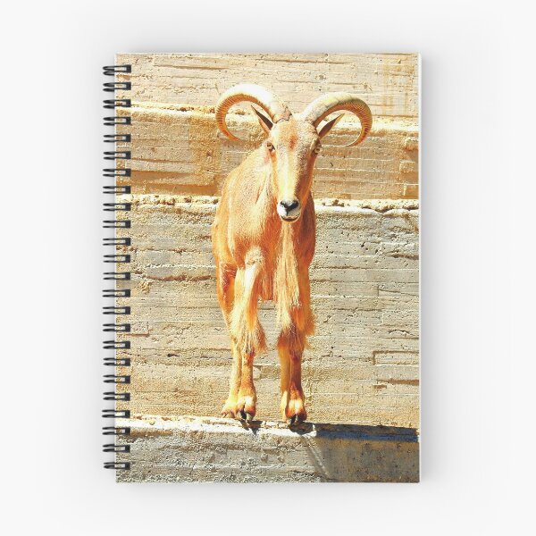 Item preview, Barbary Sheep designed and sold by Barnbk02.
