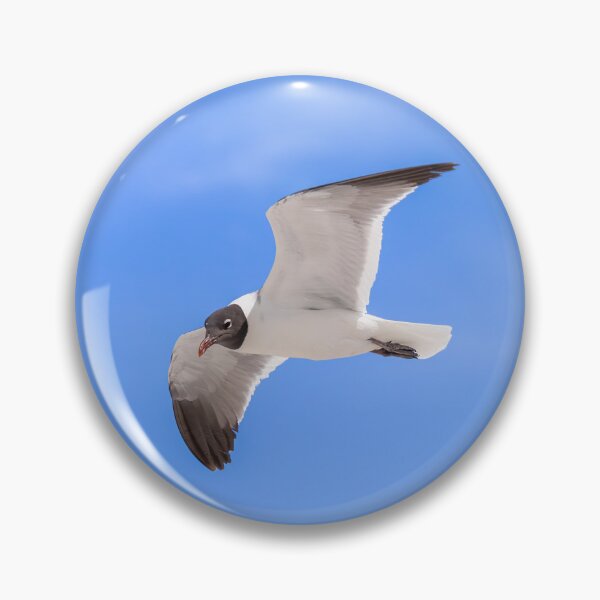 Item preview, Laughing Gull Seagull and Blue Sky designed and sold by SafariByMarisa.