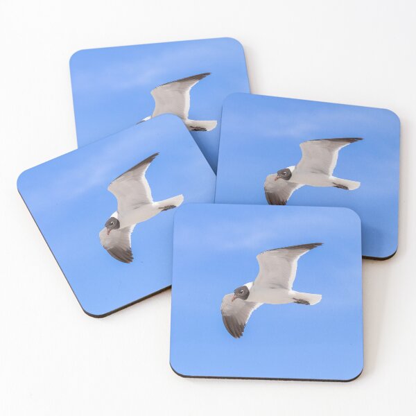 Item preview, Laughing Gull Seagull and Blue Sky designed and sold by SafariByMarisa.
