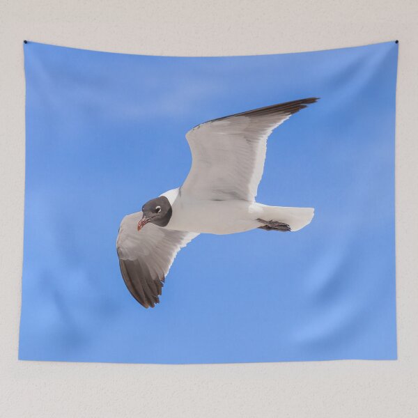 Item preview, Laughing Gull Seagull and Blue Sky designed and sold by SafariByMarisa.