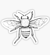 Bumble Bee Sticker