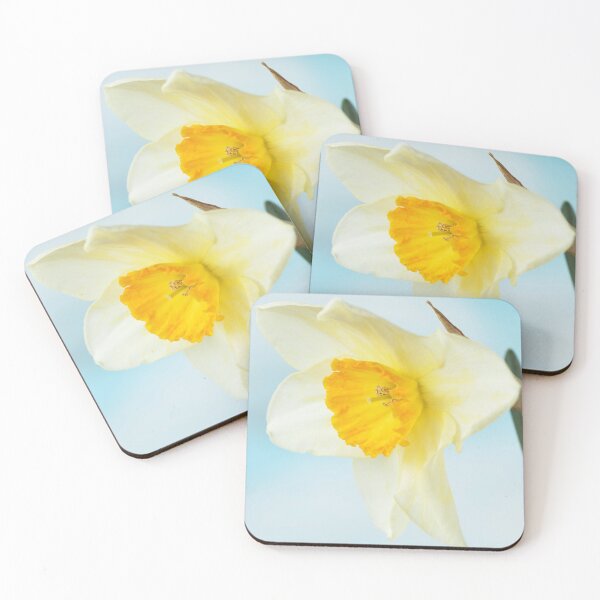 Item preview, Narcissus  'Sempre Avanti'   Div. 2  Large-cupped  Daffodil  designed and sold by Chris Burrows.