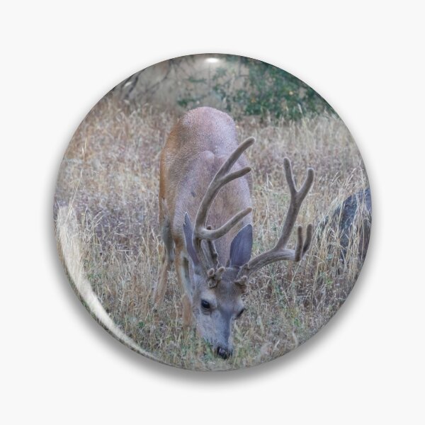 Item preview, Mule Deer Buck designed and sold by SafariByMarisa.