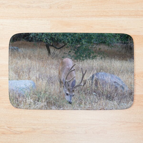 Item preview, Mule Deer Buck designed and sold by SafariByMarisa.