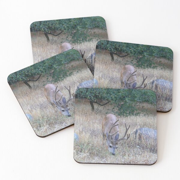 Item preview, Mule Deer Buck designed and sold by SafariByMarisa.