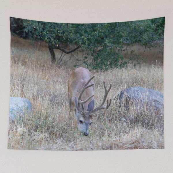Item preview, Mule Deer Buck designed and sold by SafariByMarisa.
