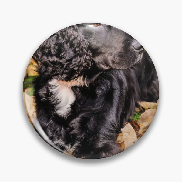 Item preview, Cocker Spaniel designed and sold by JEZ22.
