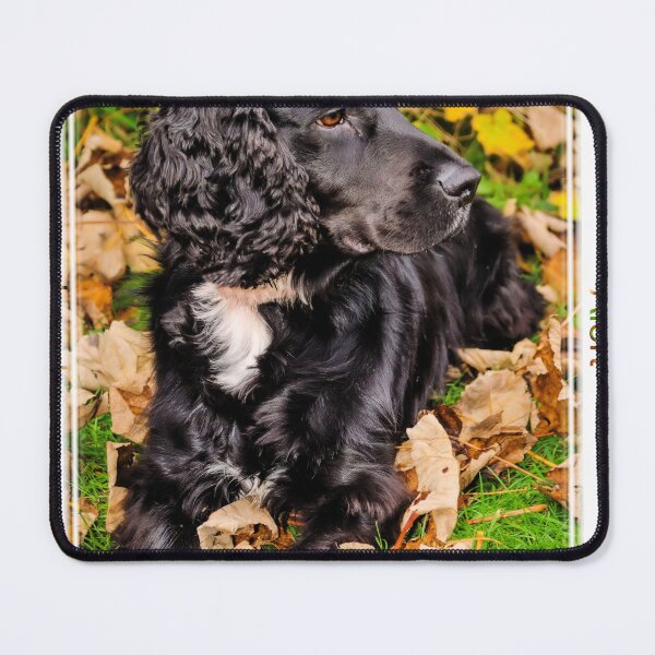Item preview, Cocker Spaniel designed and sold by JEZ22.
