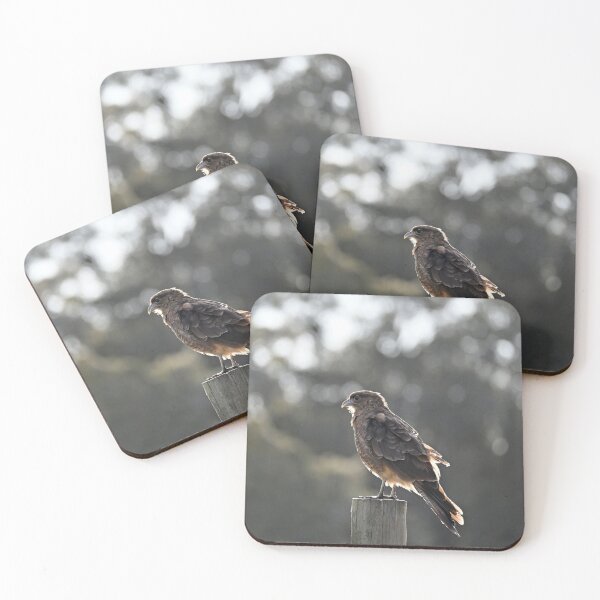 Item preview, Bird of prey known as Tiuque designed and sold by bagiolita.