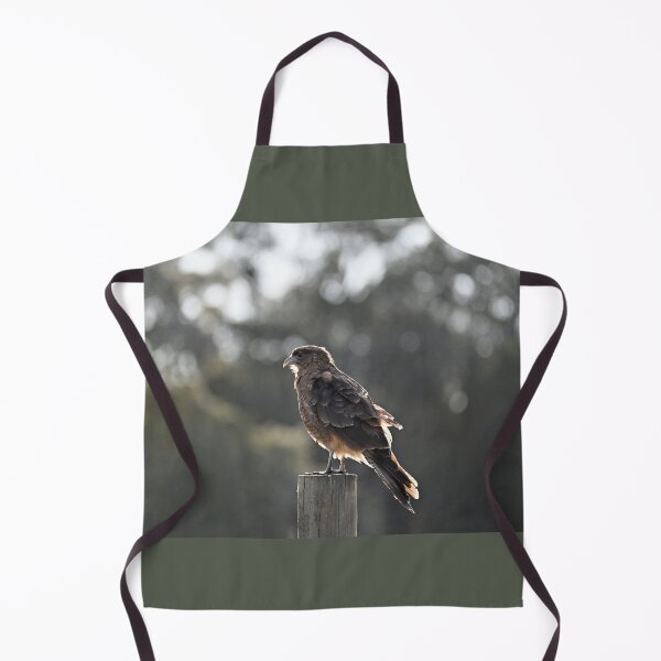Item preview, Bird of prey known as Tiuque designed and sold by bagiolita.