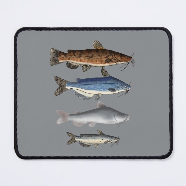 Item preview, North American Catfishes  designed and sold by fishfolkart.