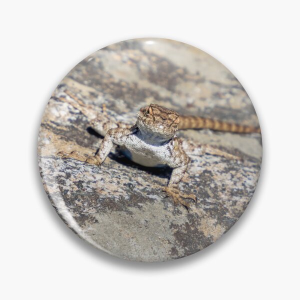 Item preview, Female Western Fence Lizard designed and sold by SafariByMarisa.