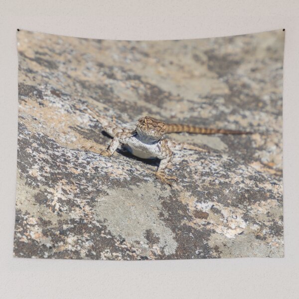 Item preview, Female Western Fence Lizard designed and sold by SafariByMarisa.