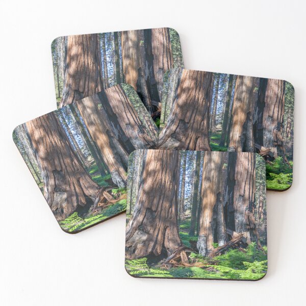 Item preview, Giant Redwood Tree Trunks designed and sold by SafariByMarisa.