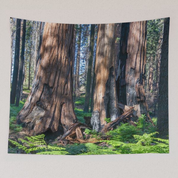 Item preview, Giant Redwood Tree Trunks designed and sold by SafariByMarisa.
