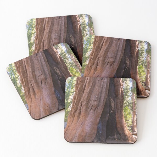 Item preview, Giant Sequoia Tree Trunk designed and sold by SafariByMarisa.