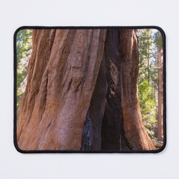 Item preview, Giant Sequoia Tree Trunk designed and sold by SafariByMarisa.