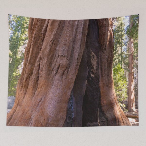 Item preview, Giant Sequoia Tree Trunk designed and sold by SafariByMarisa.