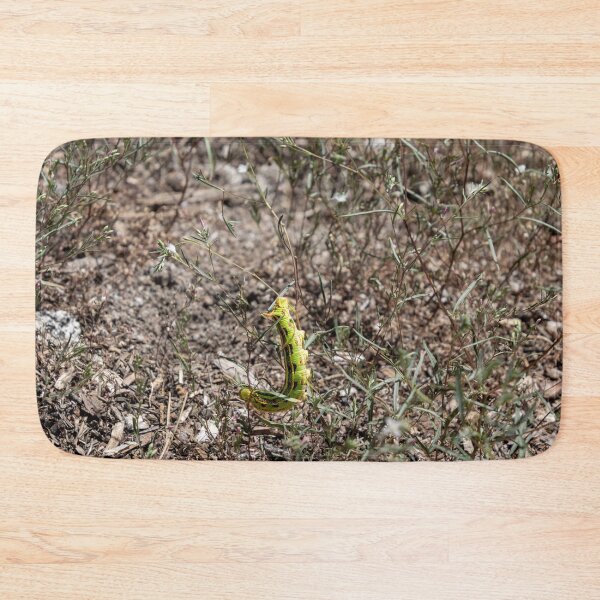 Item preview, Green and Red Caterpillar designed and sold by SafariByMarisa.