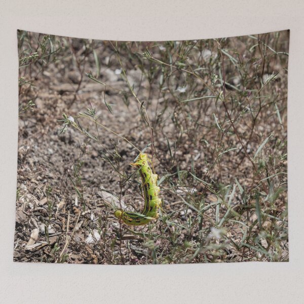Item preview, Green and Red Caterpillar designed and sold by SafariByMarisa.