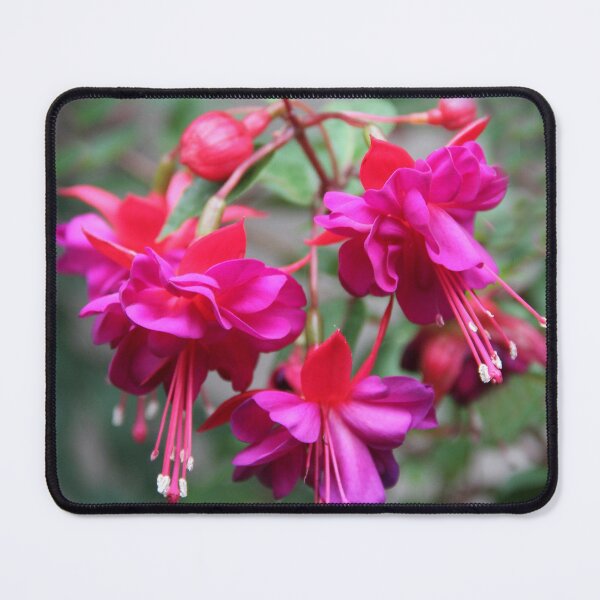 Item preview, Floral Beauties designed and sold by heatherfriedman.
