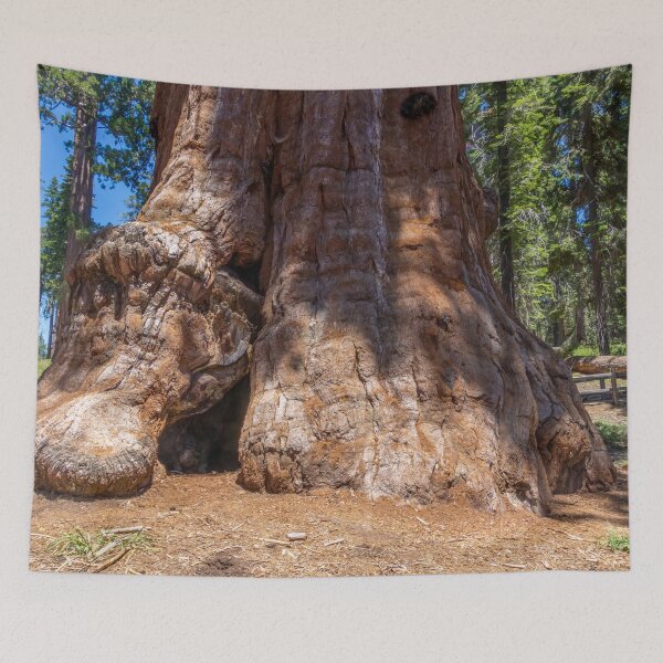 Item preview, Largest Sequoia Tree Stump designed and sold by SafariByMarisa.