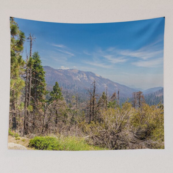 Item preview, Scenic Mountain Views in Sequoia designed and sold by SafariByMarisa.