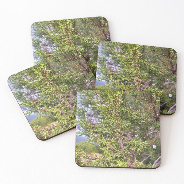 Item preview, New Mexico greenery designed and sold by Hodgepodge House.