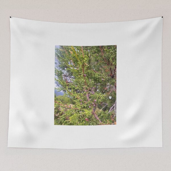 Item preview, New Mexico greenery designed and sold by Hodgepodge House.