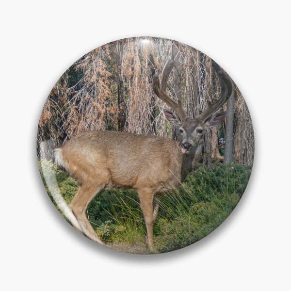 Item preview, Silly Mule Deer designed and sold by SafariByMarisa.