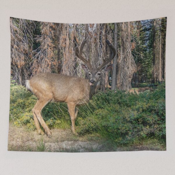 Item preview, Silly Mule Deer designed and sold by SafariByMarisa.