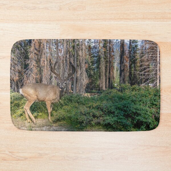 Item preview, Silly Mule Deer designed and sold by SafariByMarisa.