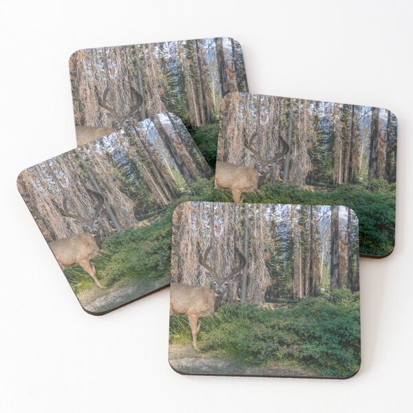 Item preview, Silly Mule Deer designed and sold by SafariByMarisa.