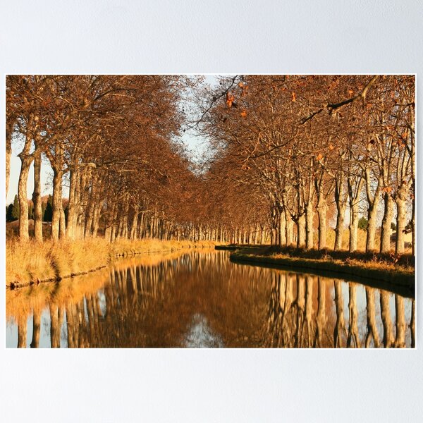 Item preview, Autumn reflections Canal du Midi Capestang France designed and sold by Paul Pasco.