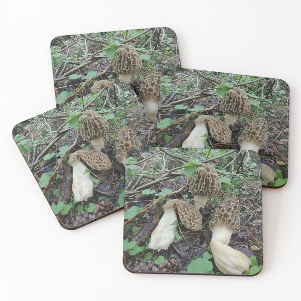 Item preview, 3 Morels designed and sold by AlphaGalGardenGirl.