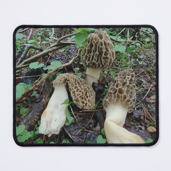 Item preview, 3 Morels designed and sold by AlphaGalGardenGirl.