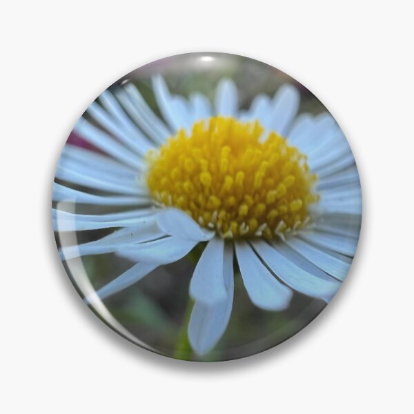 Item preview, Santa Barbara Daisy designed and sold by Betsy Phillips.