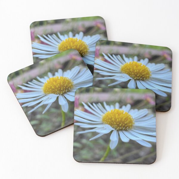 Item preview, Santa Barbara Daisy designed and sold by Betsy Phillips.